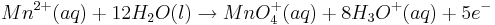  Mn^{2+}(aq) + 12 H_{2}O(l) \rightarrow MnO^{+}_{4}(aq) + 8H_{3}O^{+}(aq) + 5e^{-}