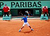 Rafael Nadal 2011 Roland Garros 5.jpg